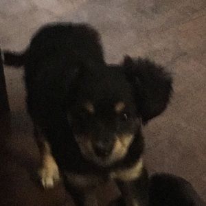 Meet your Posher, Xane